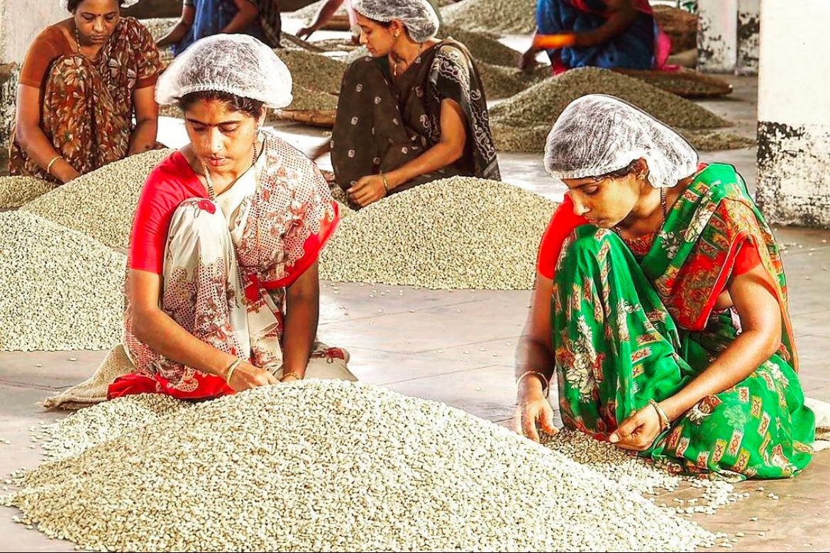 Women sorting coffee in a warehouse setting