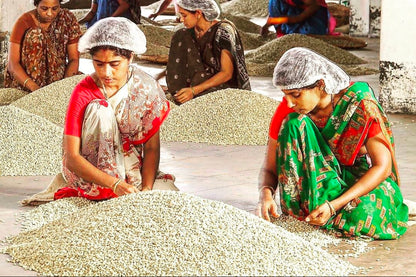 Women sorting coffee in a warehouse setting
