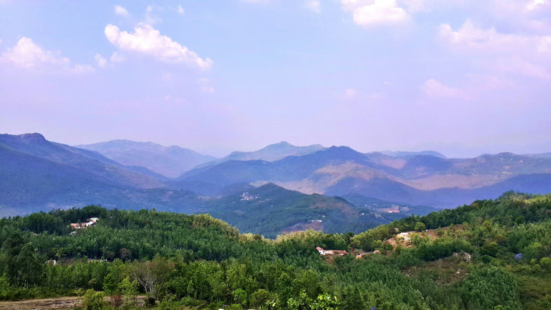 Yercaud story image